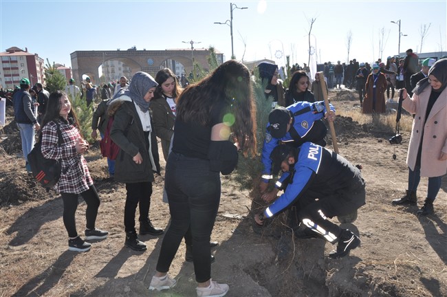 kars’ta-29-bin-fidan-toprakla-bulustu-(16).jpg