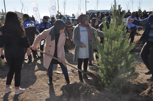 kars’ta-29-bin-fidan-toprakla-bulustu-(18).jpg