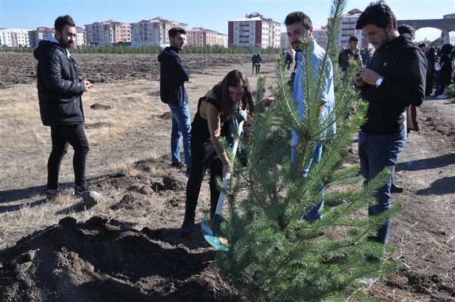 kars’ta-29-bin-fidan-toprakla-bulustu-(20).jpg