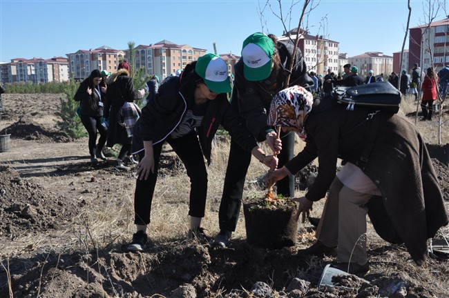 kars’ta-29-bin-fidan-toprakla-bulustu-(21).jpg