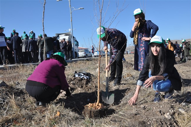 kars’ta-29-bin-fidan-toprakla-bulustu-(23).jpg
