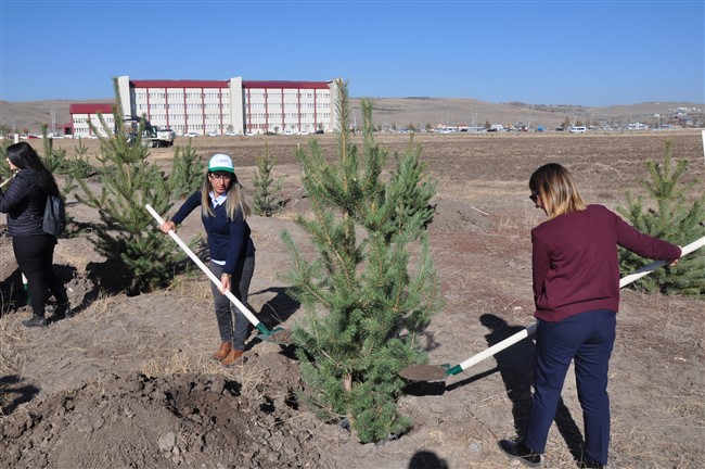 kars’ta-29-bin-fidan-toprakla-bulustu-(8).jpg