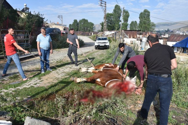 kars’ta-kurban-kesimi-basladi!-(6).jpg