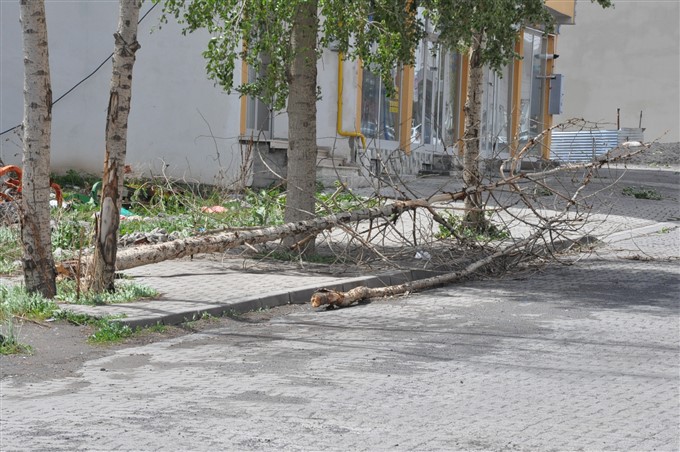 kars’ta-kuvvetli-ruzgar-maddi-hasara-yol-acti-(6).jpg