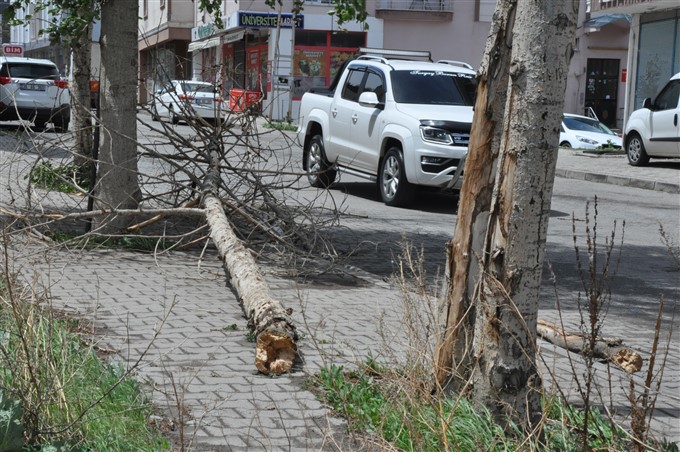 kars’ta-kuvvetli-ruzgar-maddi-hasara-yol-acti-(8).jpg