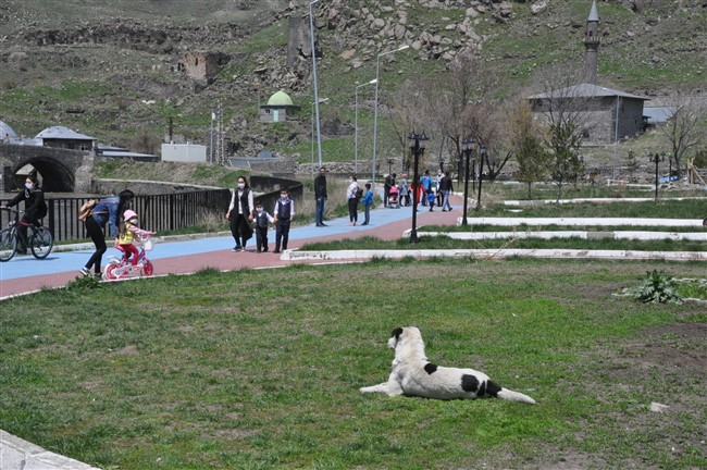 kars’ta-minikler-parklara-akin-etti-(17).jpg