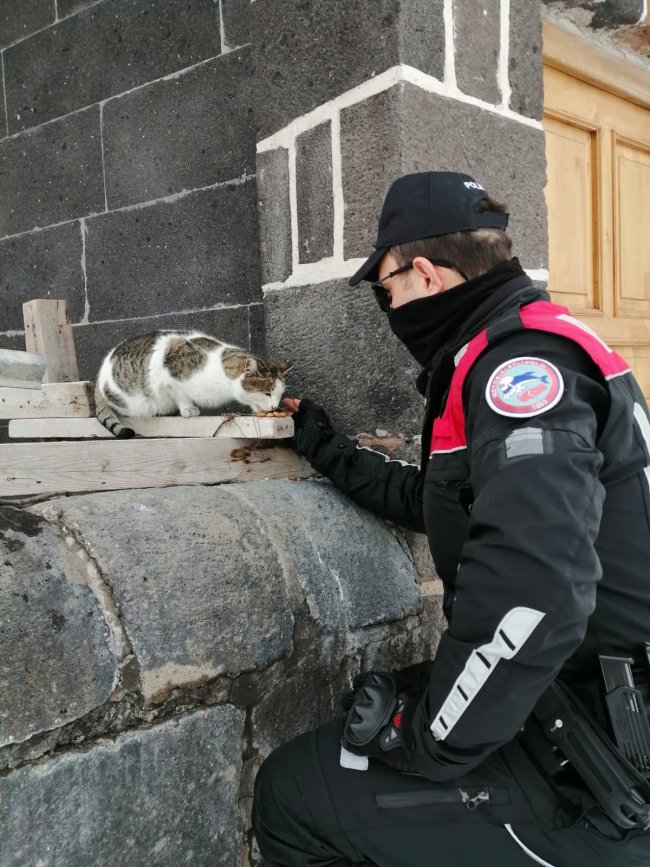 kars’ta-polis,-sokak-hayvanlarina-yiyecek-birakti-(3).jpg