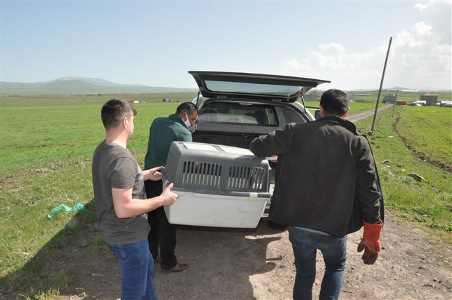 kars’ta-yarali-tilkiyi-vatandas-kurtardi-(11).jpg