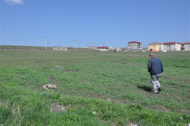 kars’ta-yarali-tilkiyi-vatandas-kurtardi-(2).jpg