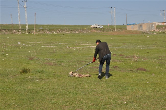 kars’ta-yarali-tilkiyi-vatandas-kurtardi-(8).jpg