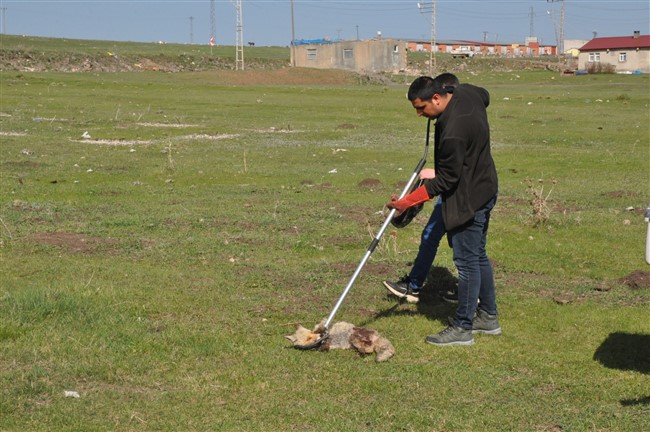 kars’ta-yarali-tilkiyi-vatandas-kurtardi-(9).jpg