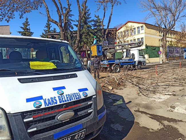 kars-belediyesi-agaclari-budama-ve-bakim-calismasi-baslatti-(5).jpg