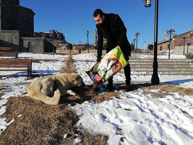 kars-belediyesi-sokak-hayvanlarina-mama-dagitti-(1).jpg