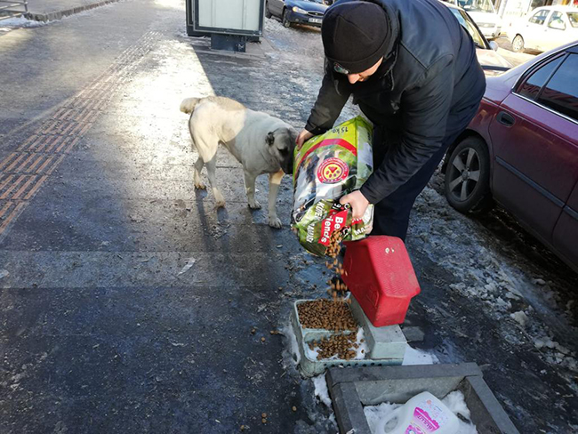 kars-belediyesi-sokak-hayvanlarina-mama-dagitti-(2).jpg