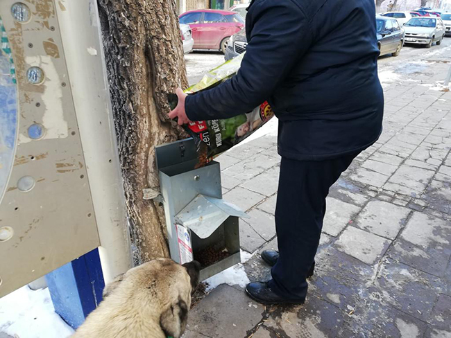 kars-belediyesi-sokak-hayvanlarina-mama-dagitti-(4).jpg
