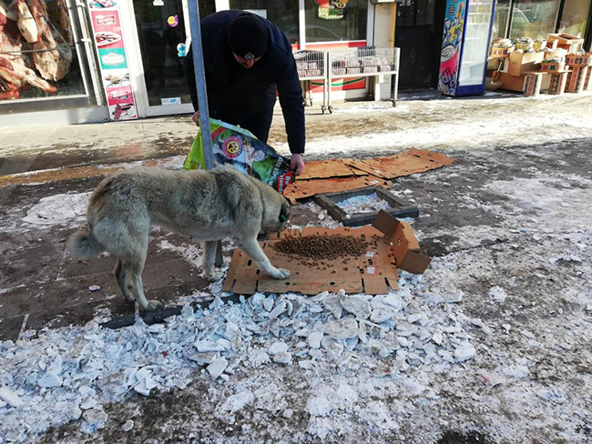 kars-belediyesi-sokak-hayvanlarina-mama-dagitti-(5).jpg