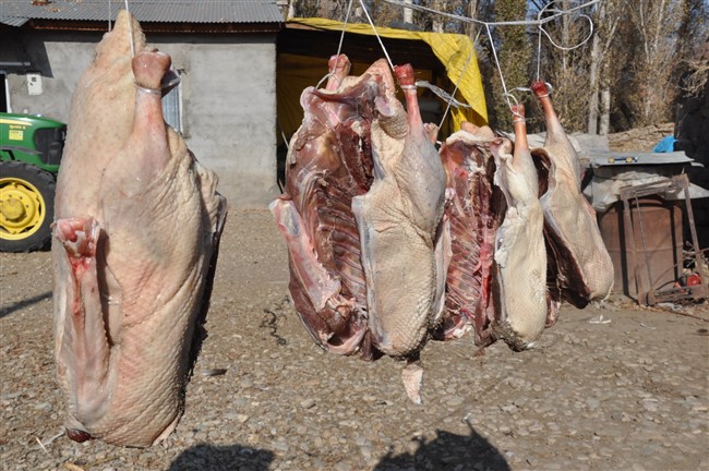 Kars kazı büyük şirketlerin ilgi odağı oldu!