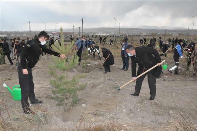 kars-polisi-100.-yilda-100-fidan-dikti!-(4).jpg