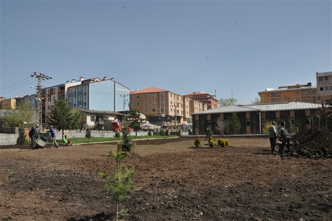 kars-valiliginin-bahcesi-yesilleniyor-(1).jpg