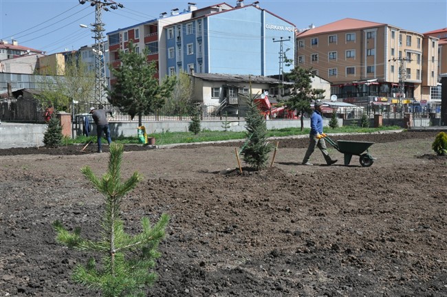 kars-valiliginin-bahcesi-yesilleniyor-(2).jpg