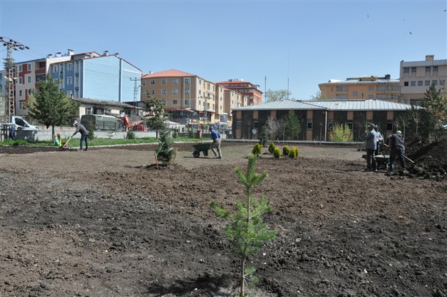 kars-valiliginin-bahcesi-yesilleniyor-(4).jpg
