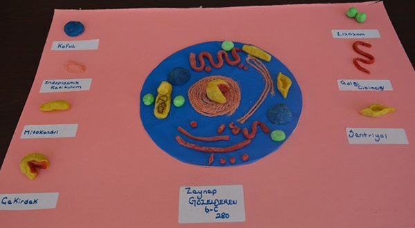 “hucre-modeli-yarismasi”-yapildi-(6).jpg