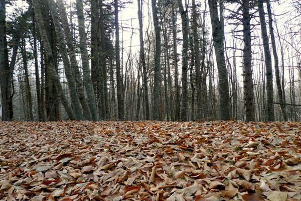 08-p1060210.jpg
