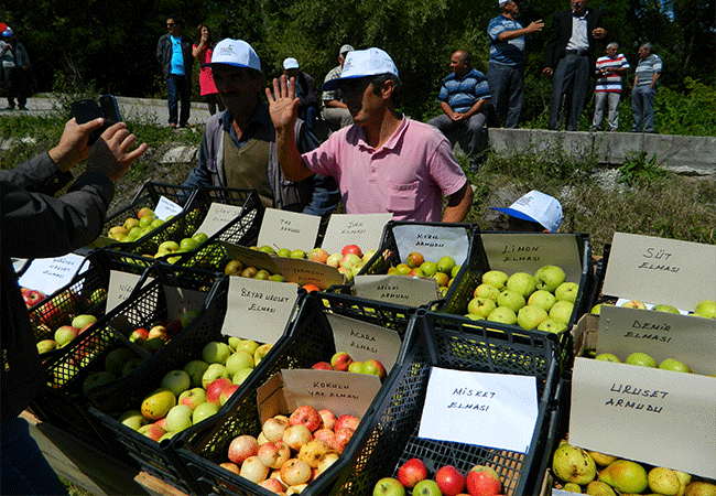 11.20130826152657..gif 11.20130826152657..gif