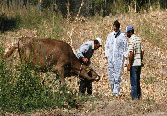 2.20130918095000..gif 2.20130918095000..gif