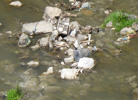 20140703aw134436_01.jpg