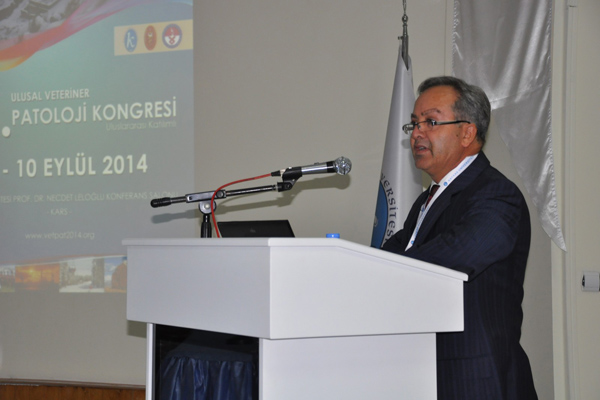 20140912aw190778_02.jpg 20140912aw190778_02.jpg