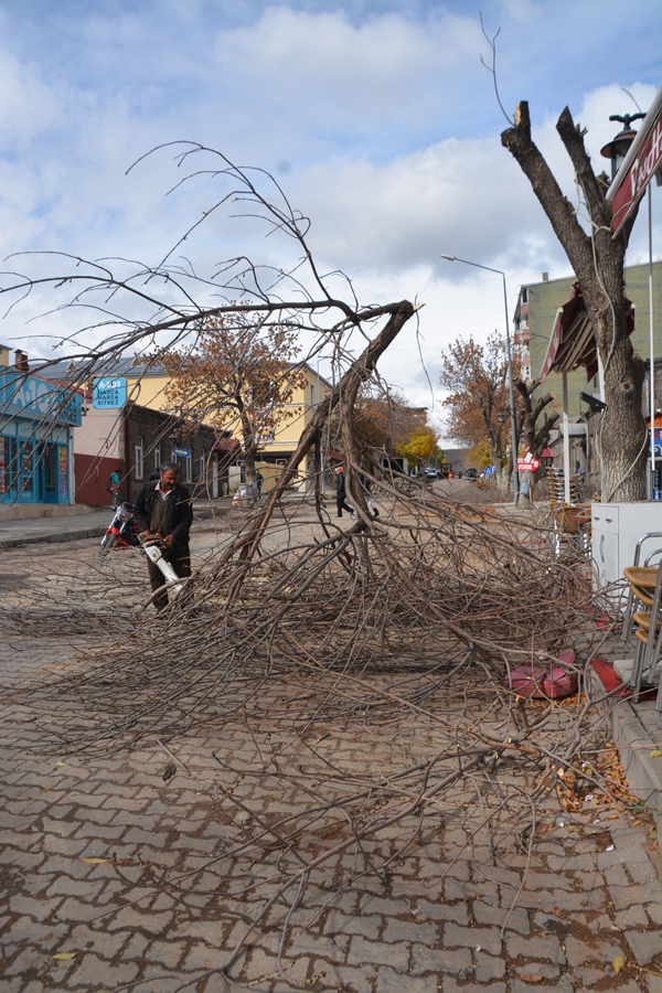20141101aw232076_04.jpg