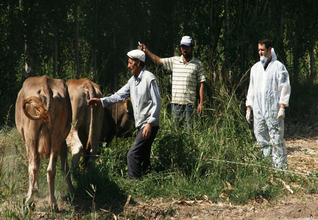 4.20130918095135..gif 4.20130918095135..gif