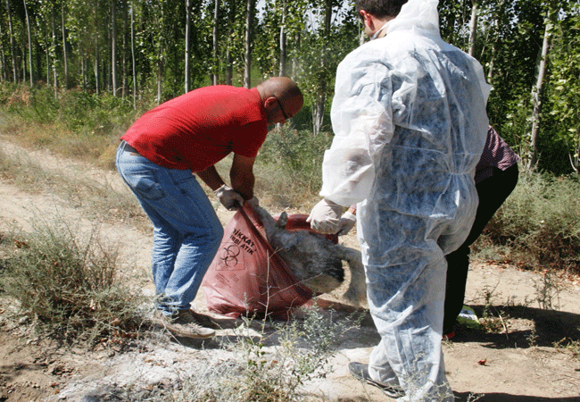 5.20130918095215..gif 5.20130918095215..gif