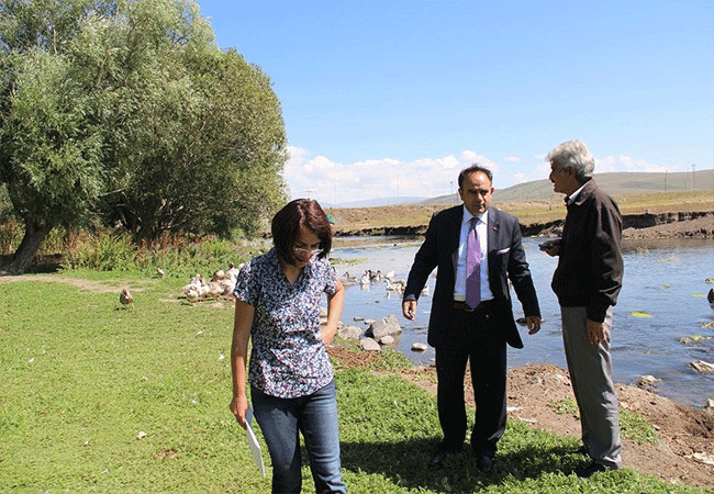 57.20130831130651..gif 57.20130831130651..gif