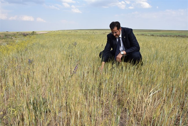 agri,-kars,-igdir-ve-erzurumdan-kuraklik-raporlari-aliyoruz-(2).jpg