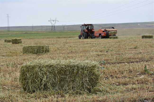 agri,-kars,-igdir-ve-erzurumdan-kuraklik-raporlari-aliyoruz-(3).jpg