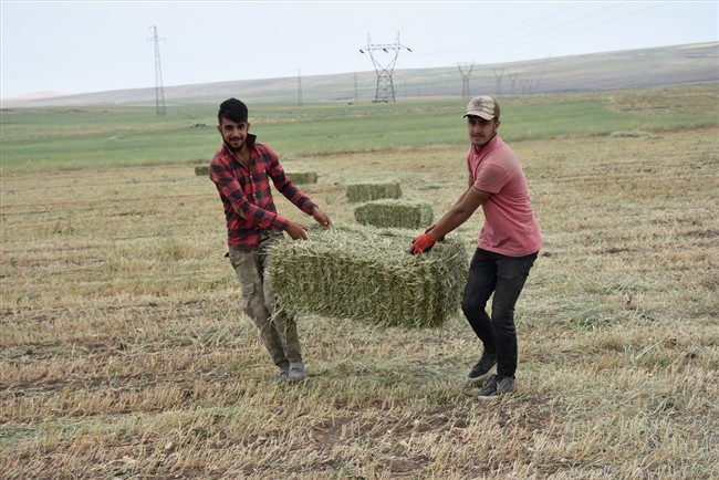 agri,-kars,-igdir-ve-erzurumdan-kuraklik-raporlari-aliyoruz-(7).jpg