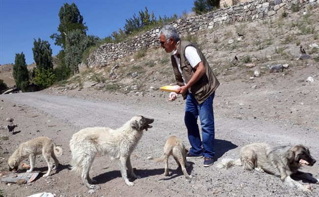 baraj-nedeniyle-bosaltilan-koyde-sahipsiz-kalan-kopeklere-vatandaslar-sahip-cikiyor-(9).jpg