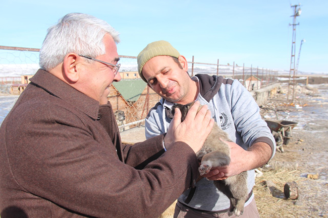 baskan-karacanta-sokak-hayvanlarina-hep-birlikte-sahip-cikmaliyiz-(2).jpg