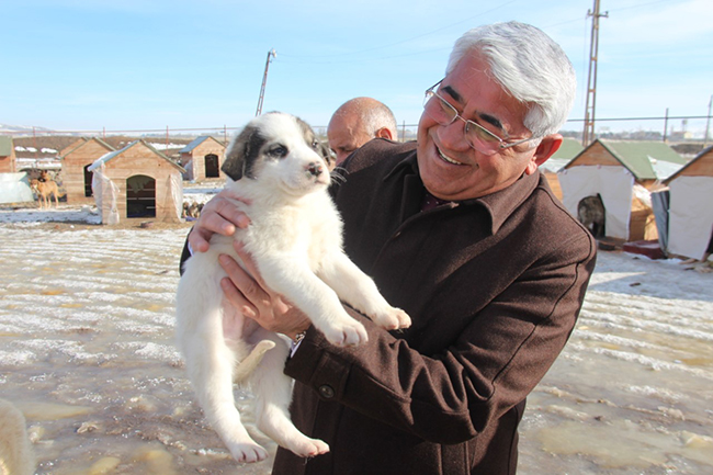 baskan-karacanta-sokak-hayvanlarina-hep-birlikte-sahip-cikmaliyiz-(3).jpg