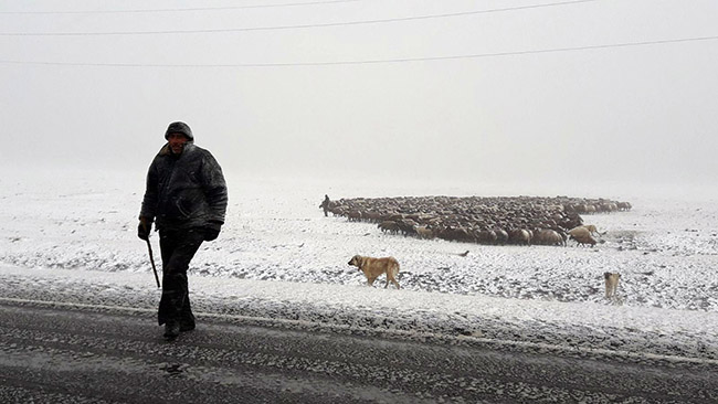 bu-fotograflar-bugun-karsta-cekildi,-kars-kara-teslim!-(1).jpg