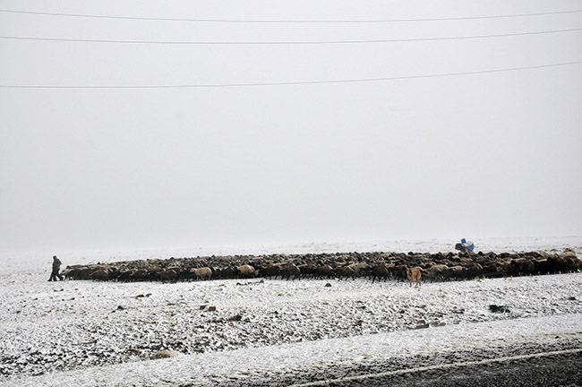 bu-fotograflar-bugun-karsta-cekildi,-kars-kara-teslim!-(4).jpg