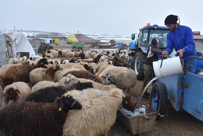 cetin-kista-traktorle-su-tasiyarak-hayvanlarinin-ihtiyacini-karsiliyorlar-(11).jpg