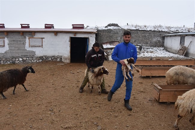 cetin-kista-traktorle-su-tasiyarak-hayvanlarinin-ihtiyacini-karsiliyorlar-(8).jpg