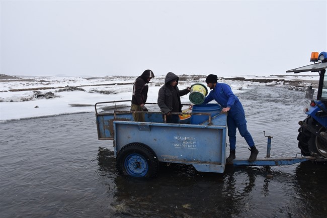 cetin-kista-traktorle-su-tasiyarak-hayvanlarinin-ihtiyacini-karsiliyorlar-(9).jpg