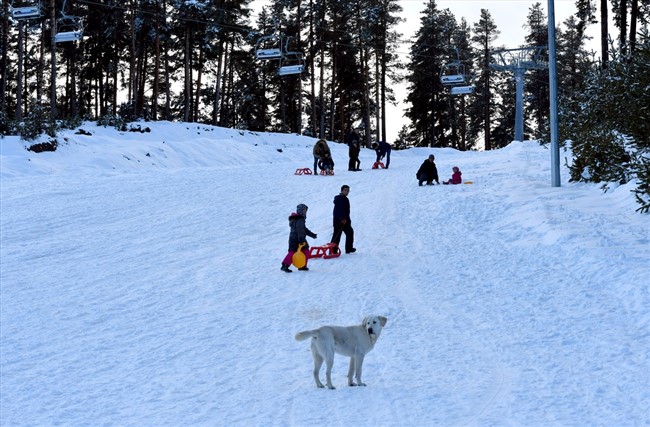 cibiltepe-kayak-merkezinde-kizak-keyfi-(7).jpg