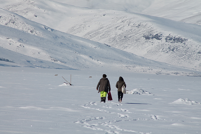 cildir-golu-uzerinde-balikcilarla-ve-kurtlar-bir-arada-(11).jpg