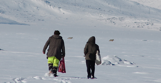cildir-golu-uzerinde-balikcilarla-ve-kurtlar-bir-arada-(15).jpg