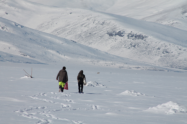 cildir-golu-uzerinde-balikcilarla-ve-kurtlar-bir-arada-(16).jpg